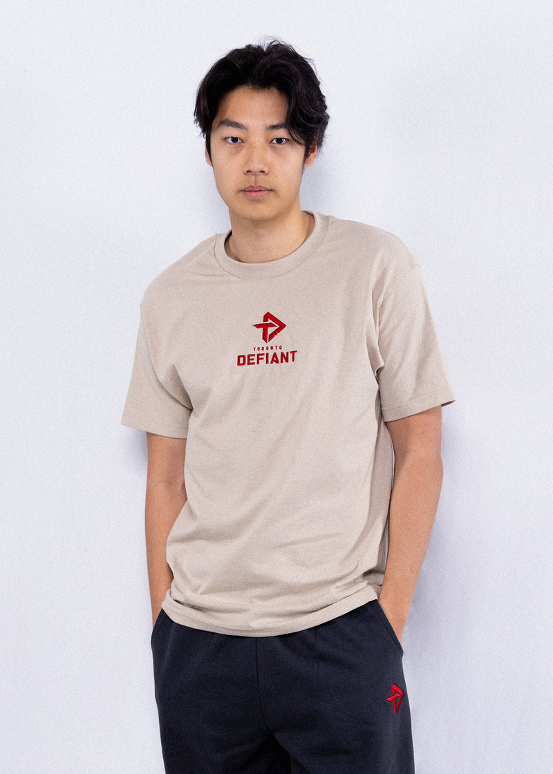 DEFIANT ORIGINS HEAVY TEE